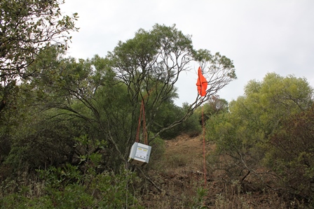 Landing point